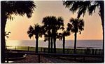 Sunrise at the Pavilion/Plyler-Brandon Sales Co.